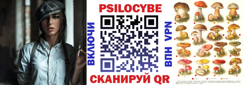 Купить  Яровое  Галлюциногенные грибы Cubensis 
